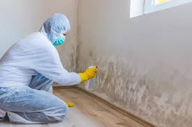 Best Crawl Space Mold Remediation  in Byng, OK