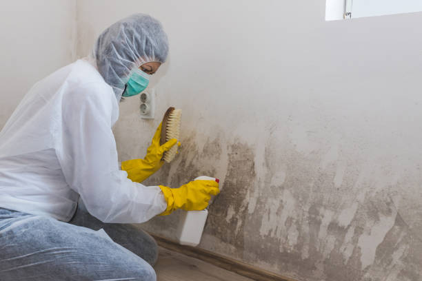 Byng, OK Mold Removal & Remediation Company